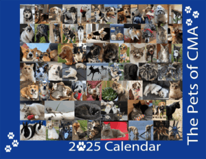 Toray's 2025 Charity Pet Calendar 3