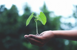Sustainability 4