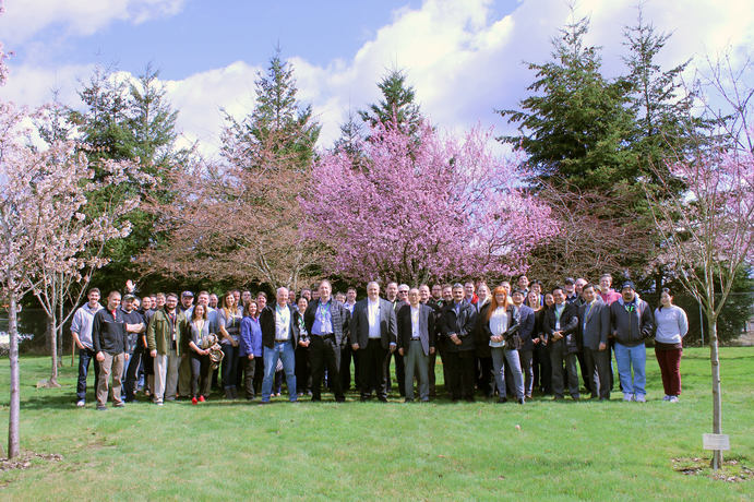 A group of people standing in front of a cherry blossom tree 